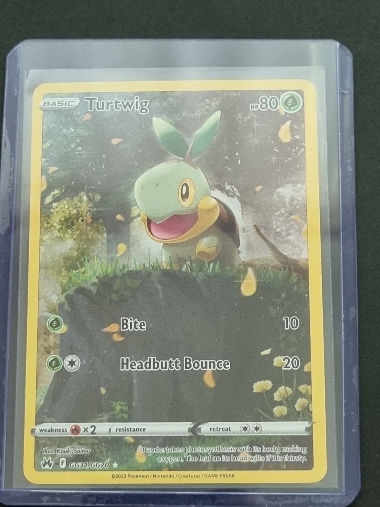 Crown Zenith Gallarian Gallory Turtwig