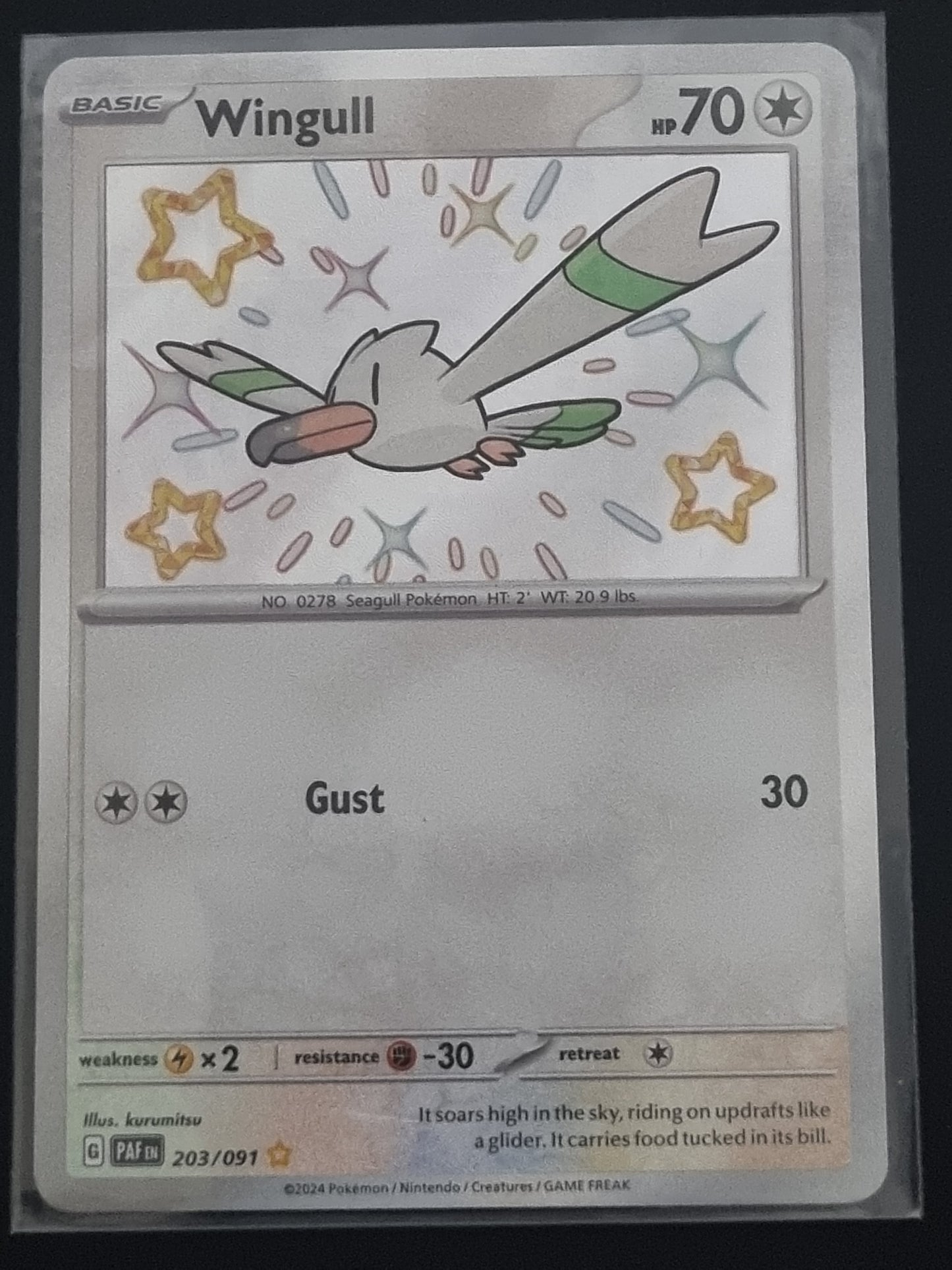 Paldean Fates Wingull 203/091